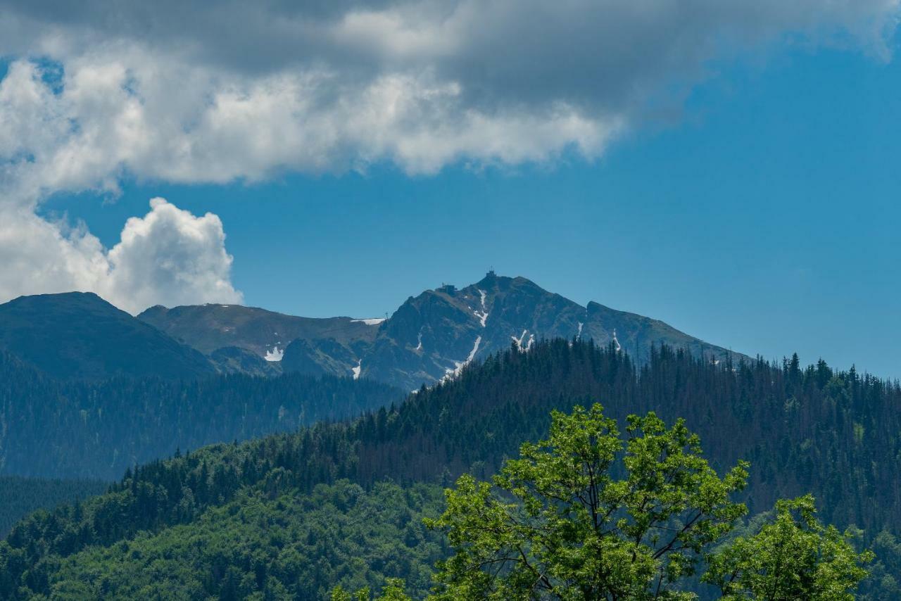 Willa Rychlina Zakopane Exterior photo